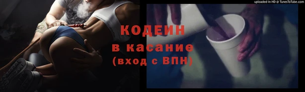 крисы Зерноград