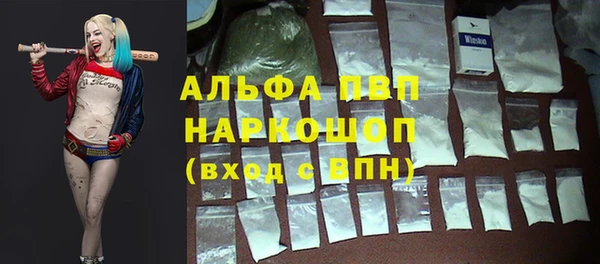 крисы Зерноград